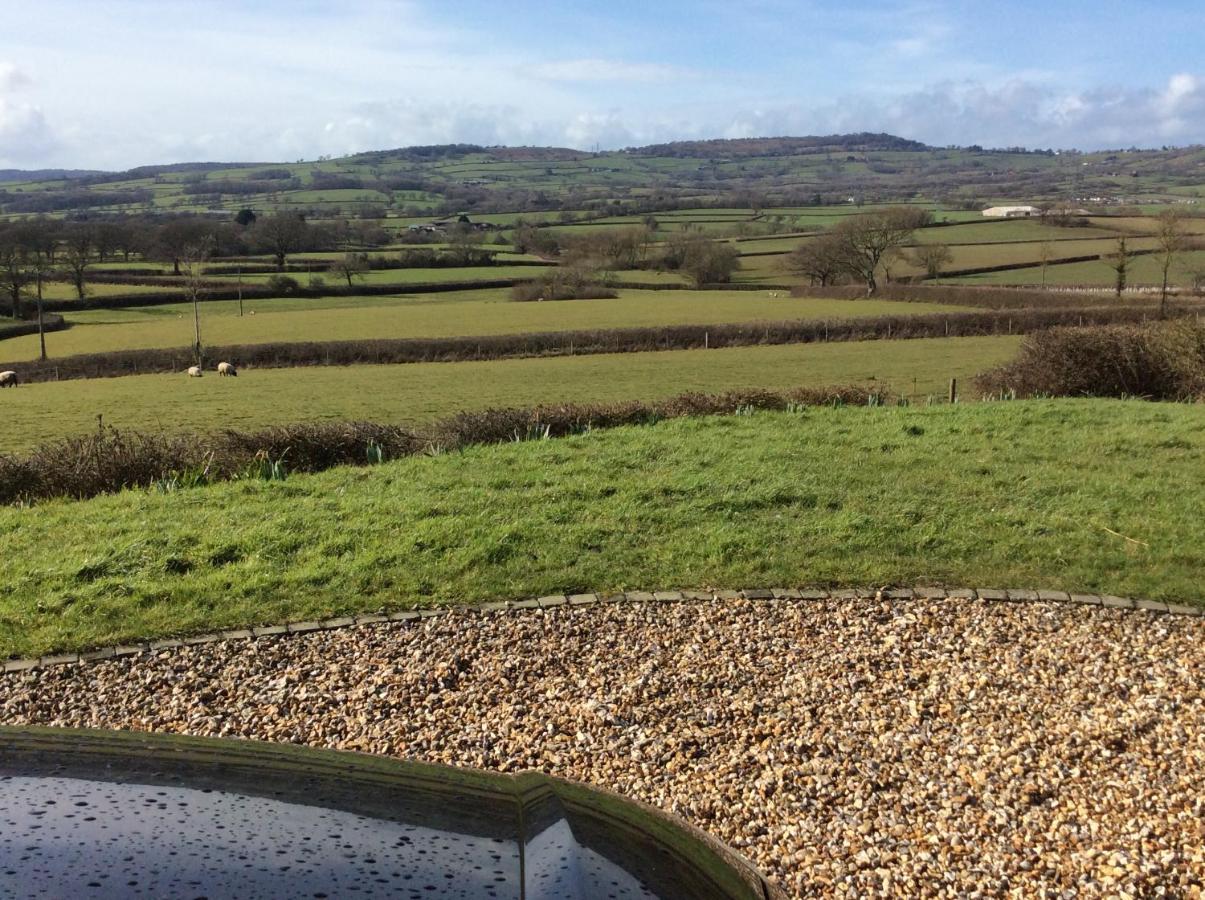 Copse Gate Farm Bed & Breakfast Bridport Bagian luar foto